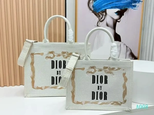 Handbag 20260118