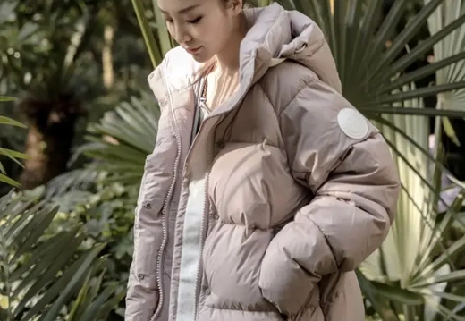 Canada Goose